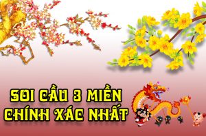 soi cầu xs song thủ lô kép miền bắc